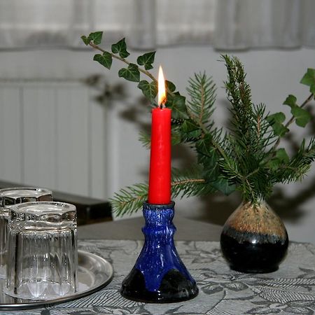 Penzion Orchidea Opočno Zewnętrze zdjęcie