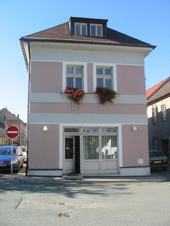 Penzion Orchidea Opočno Zewnętrze zdjęcie